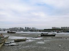 -养马岛旅游度假区