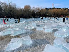 -长春市南湖公园