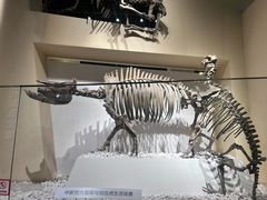 -国家自然博物馆