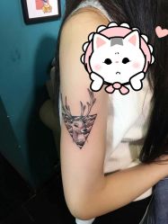 -刺客纹画纹身·洗纹身·穿孔饰品