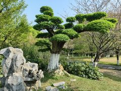 -堤角公园