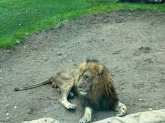 -北京野生动物园