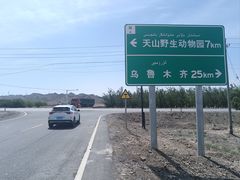 -新疆天山野生动物园