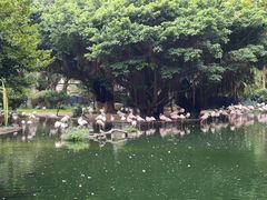 -九龙公园