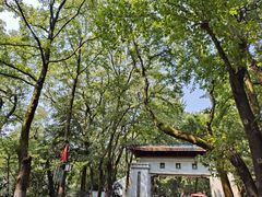 -岳麓山风景名胜区