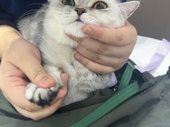 -派特宠物医院(圆融广场店)