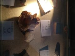 -龙虎山世界地质公园博物馆