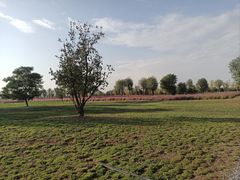 -汉长安城未央宫国家考古遗址公园