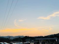 -铜川市金锁关石林