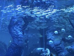 -哈尔滨波塞冬海底世界