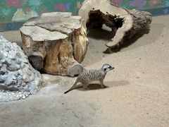 -秦皇岛新澳海底世界