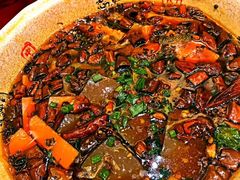 -陈麻婆豆腐总店