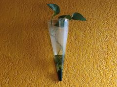 -桃花坞·私房菜餐厅(龙湖时代天街店)