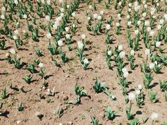 -长春公园(普阳街道)