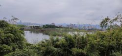 -重庆医科大学附属儿童医院(两江院区)