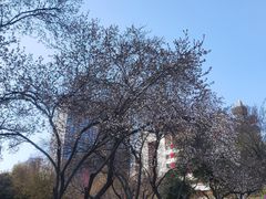 -西安创业咖啡街区