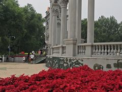 -黑龙江省森林植物园