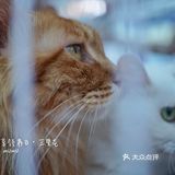 太可爱！连孙俪娘娘都为他们站台