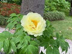 -狼山风景名胜区