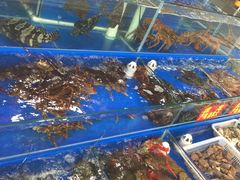 -江杨农产品批发市场