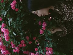 -渭滨公园