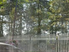 -青瓦台舍廊房