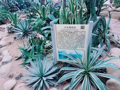 -郑州植物园