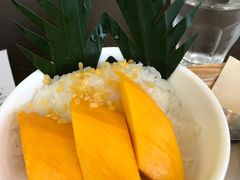 -游泰号(黑沙环店)