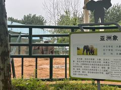 -秦皇岛野生动物园