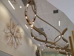 -达拉斯 沃斯堡国际机场