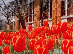 -上海交通大学医学院附属瑞金医院(总院)