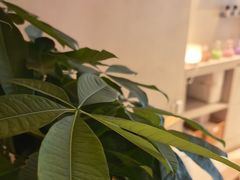 -泰合玺·精油疗愈 SPA(南京河西万达店)