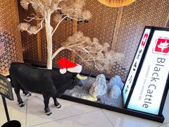 -黑牛の店·和牛烧肉(大悦城店)