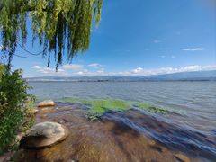 -西昌邛海湿地