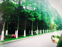 -太阳岛度假酒店