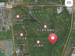 -东郊湿地公园