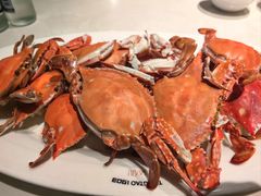 -TSINGTAO 1903 纯生酒馆(青啤二厂店)