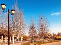 -永定河休闲森林公园