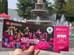 -洛阳郁金香牡丹园