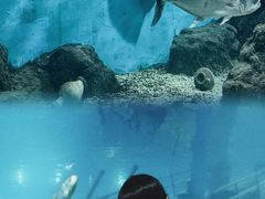 -福州罗源湾海洋世界旅游区