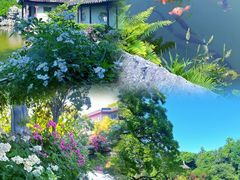 -花洲书院