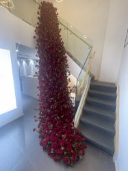-春田皮肤管理中心品牌旗舰店