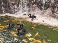 -广州莲花山旅游区