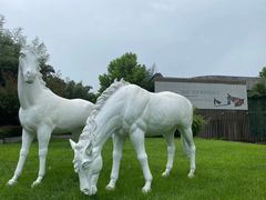 -春晖园度假酒店温泉