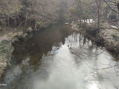 -阿哈湖国家湿地公园