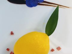 -泉客厅Spring Pavilion(303M空中会客厅)