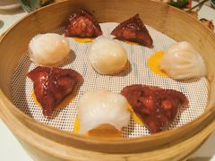 红米野菌饺-三号黄浦会Canton Table