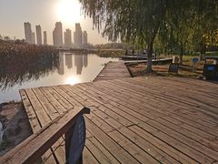-前关湿地公园