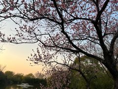 -木守西溪溪隐餐厅