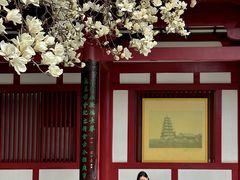 -大慈恩寺(大雁塔)